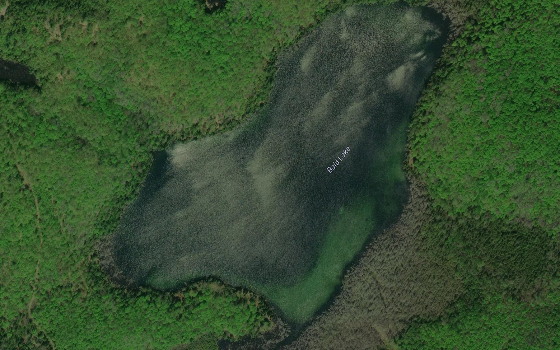Satellite map of the Bald Lake