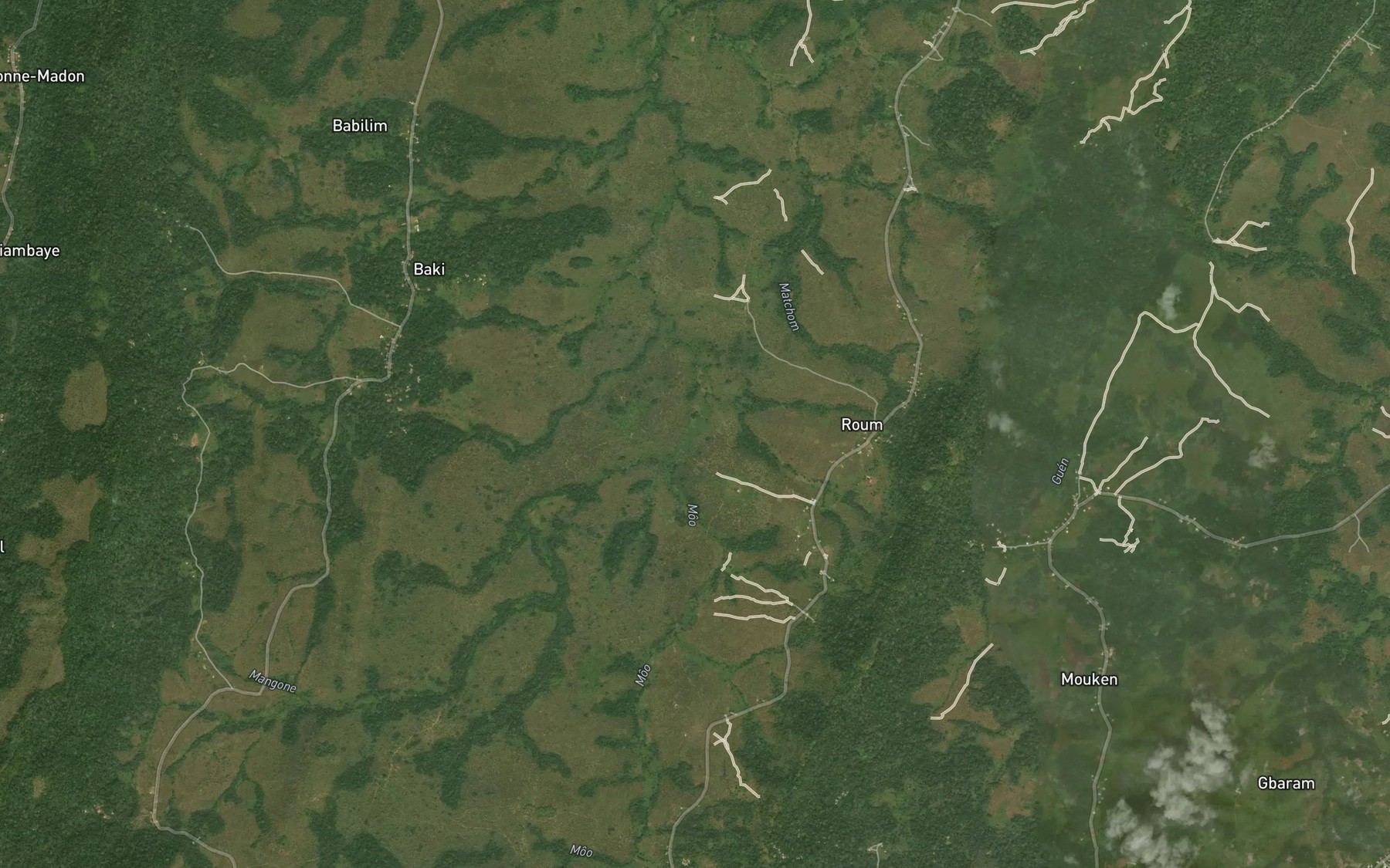 Satellite map of the Mangon