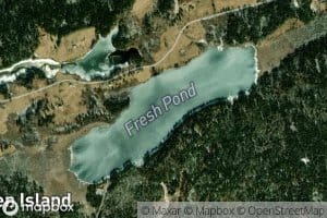 Fresh Pond