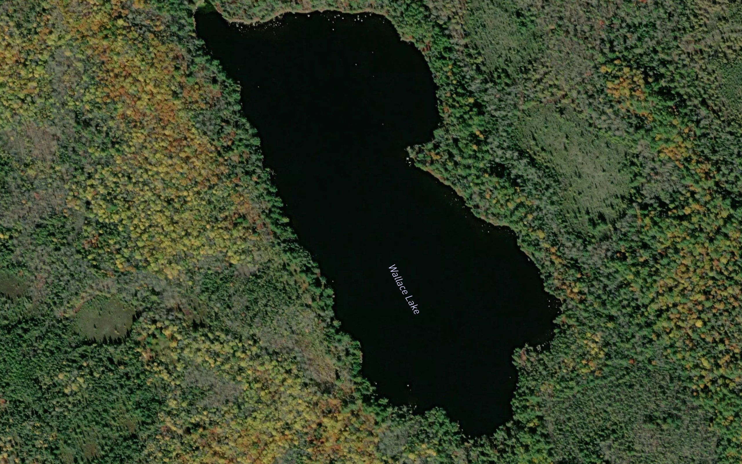 Wallace Lake