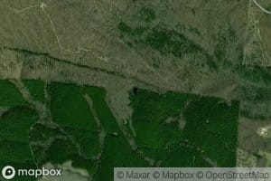Brushy Pond