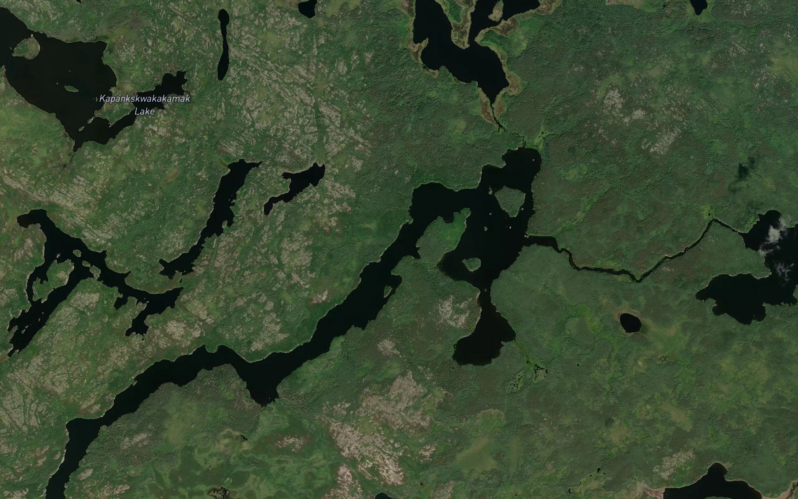 Tullibee Lake