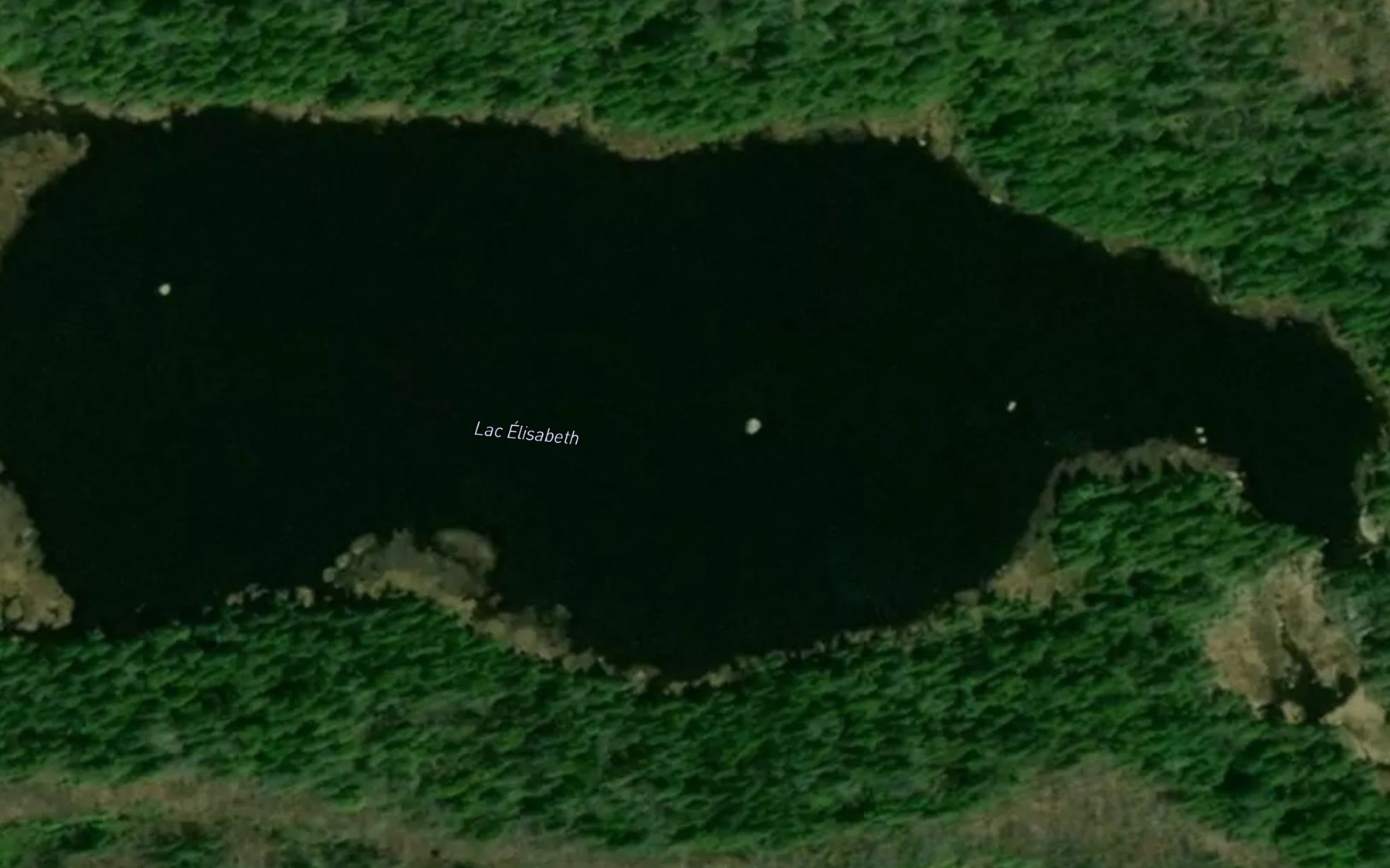 Satellite map of the Lac Elisabeth