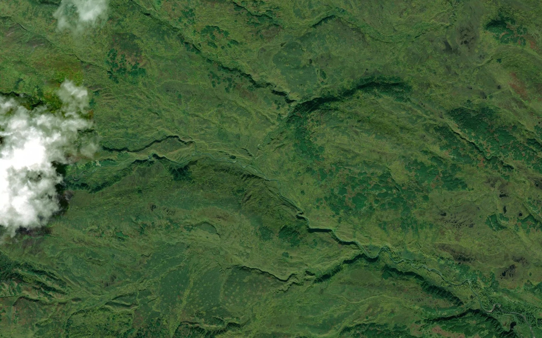 Satellite map of the Wolverine Creek