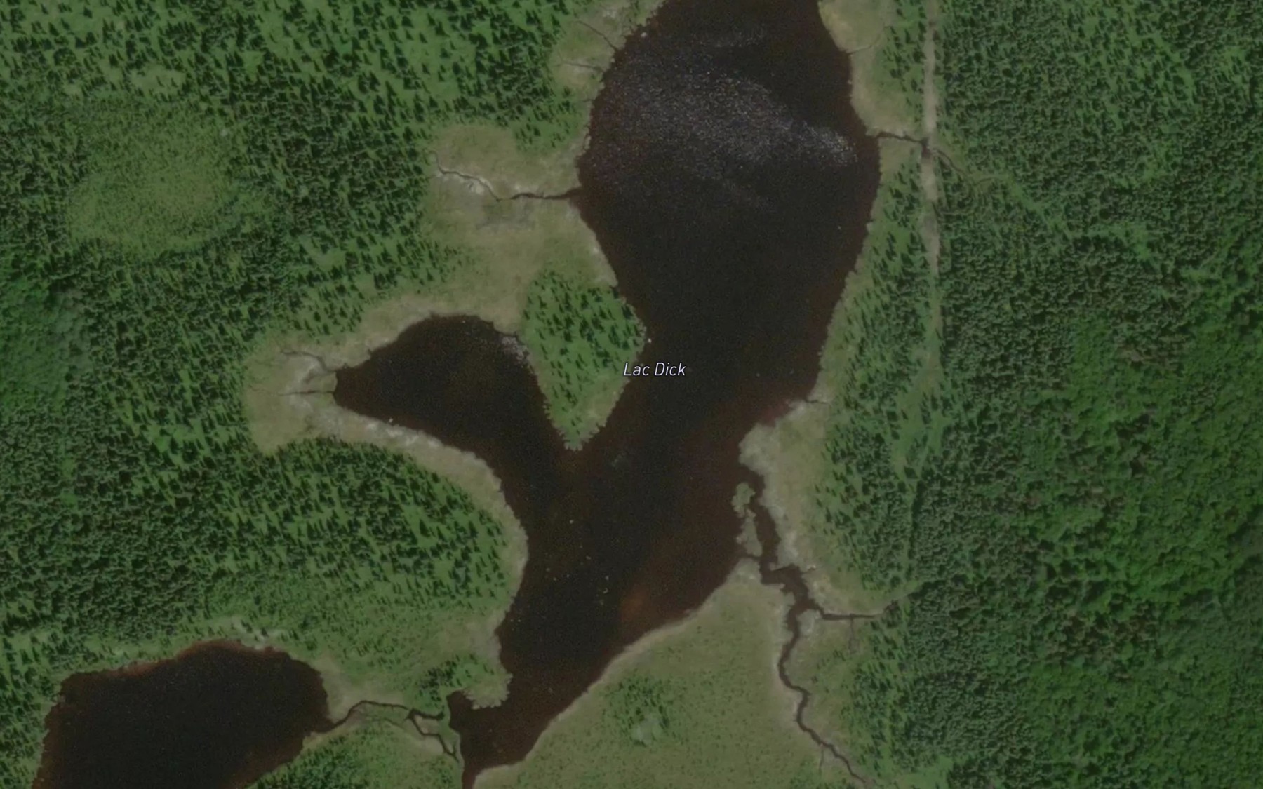 Satellite map of the Lac Dick