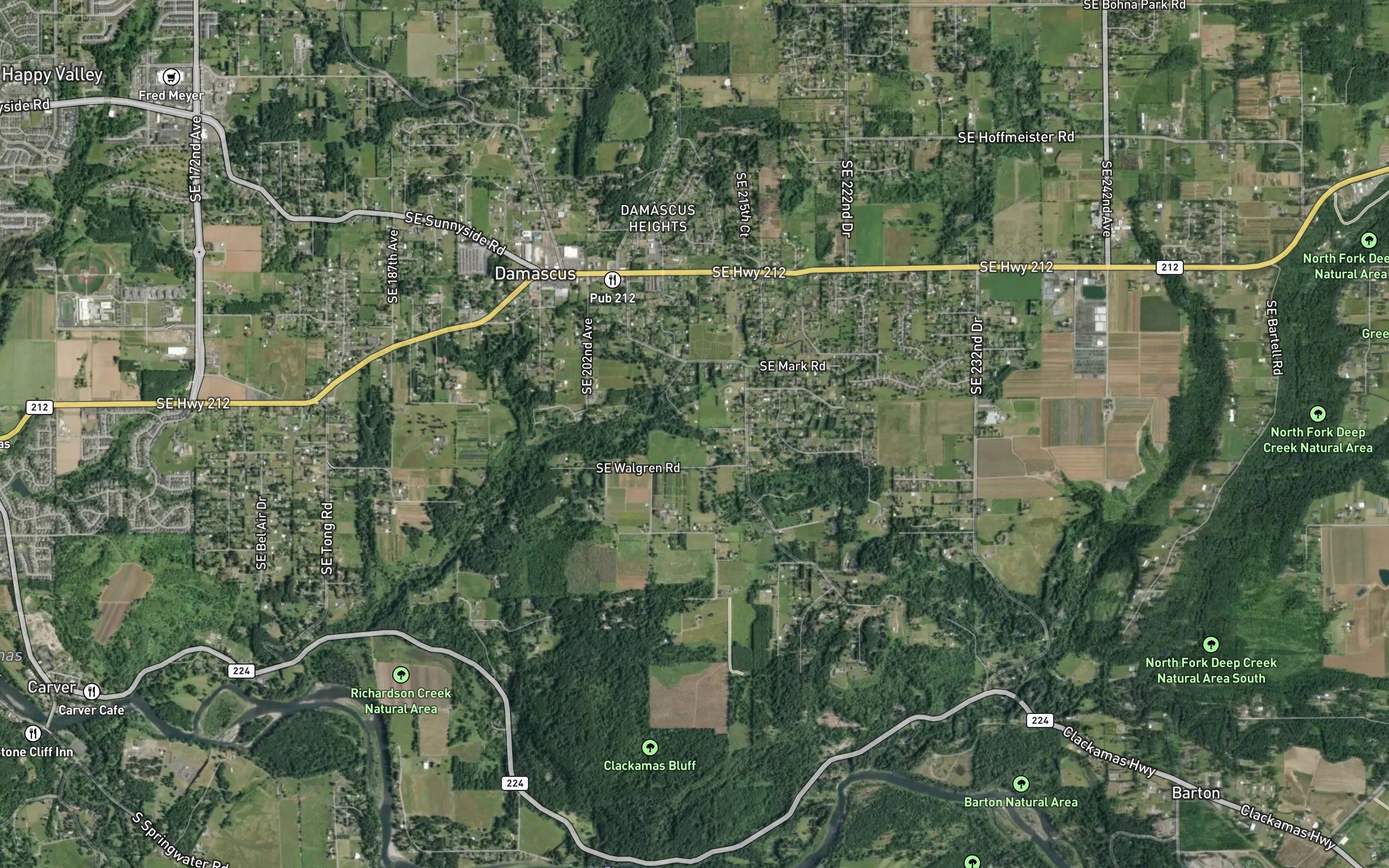 Elliott Springs