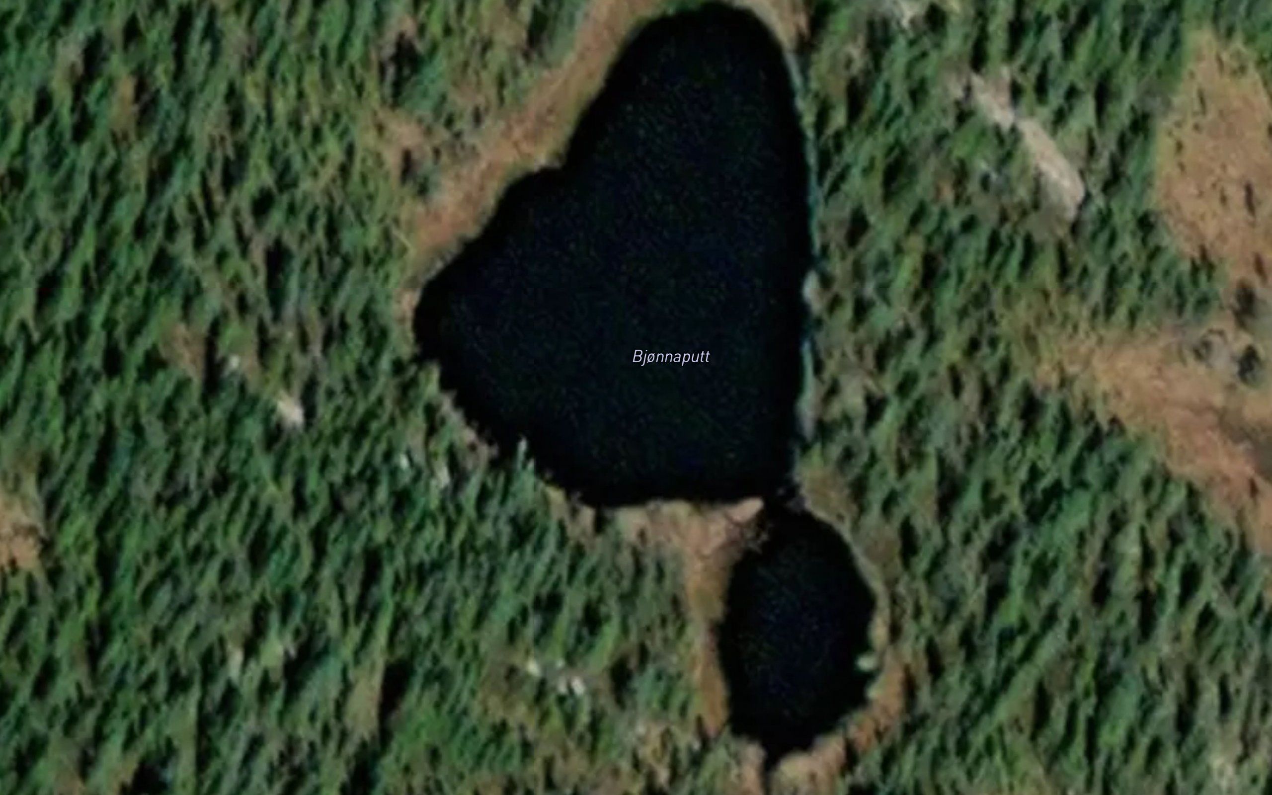 Bjonnaputt