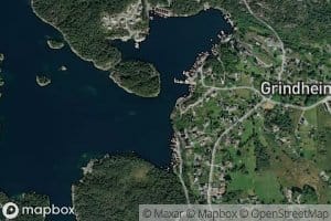 Traedsvika