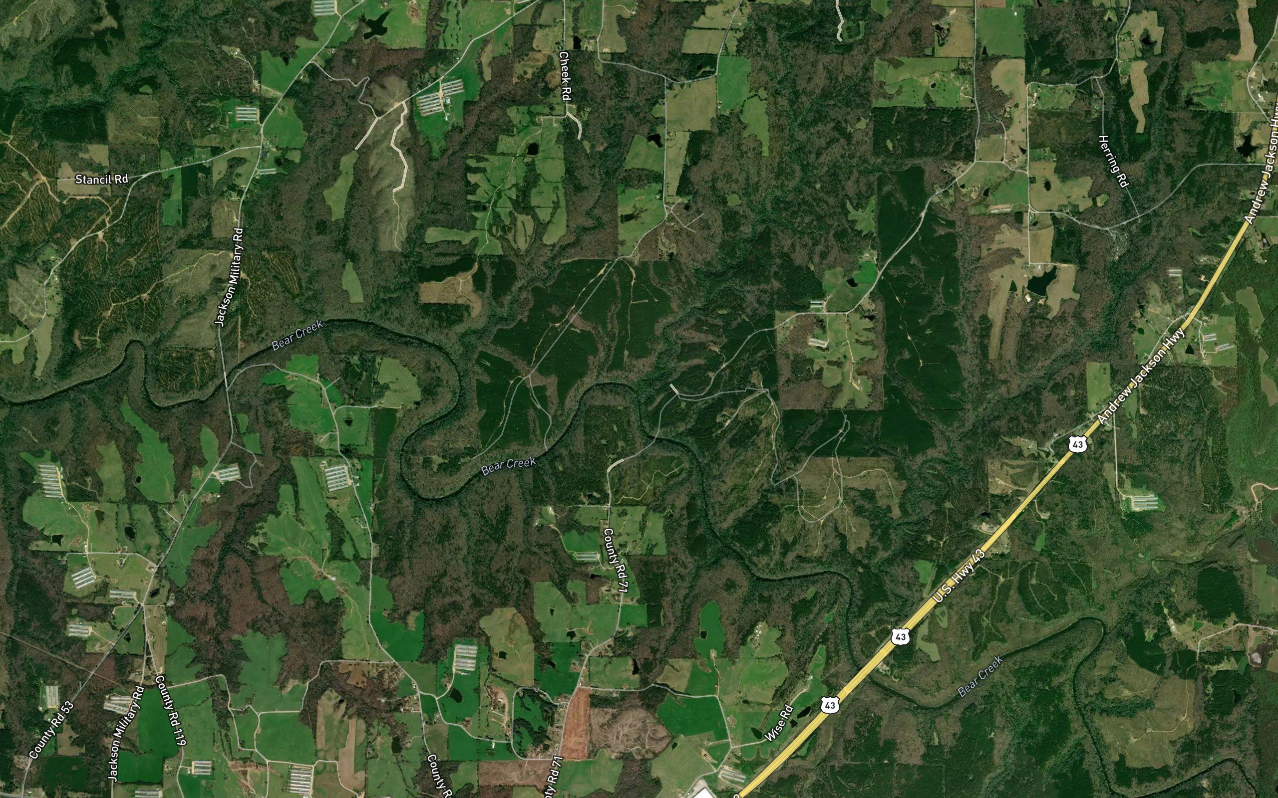 Laurel Branch