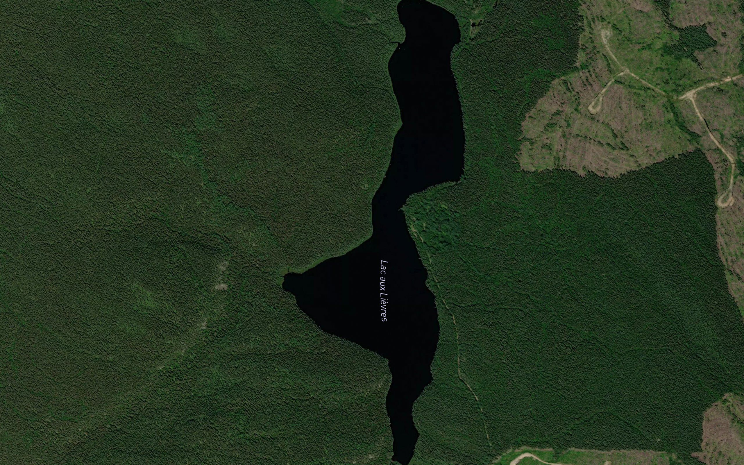 Lac aux Lievres