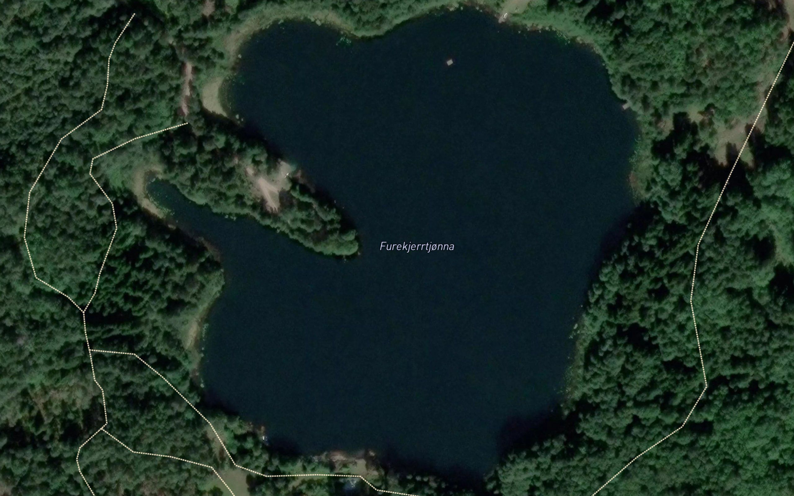 Furekjerrtjorna