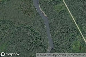 Picea Creek