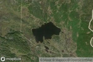 Gryttjornet