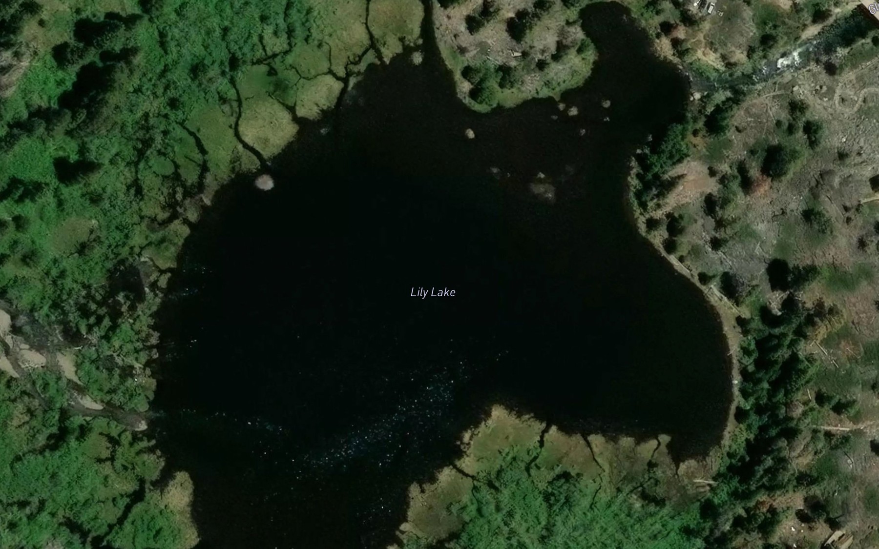 Satellite map of the Lily Lake