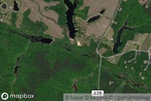 Cattail Swamp