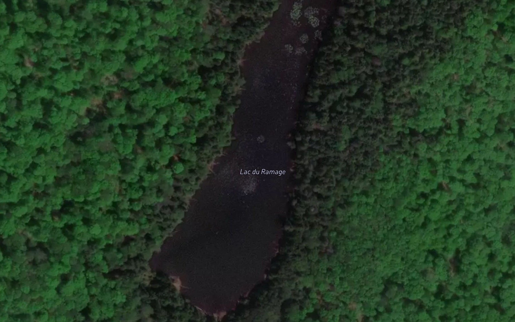 Satellite map of the Lac du Ramage