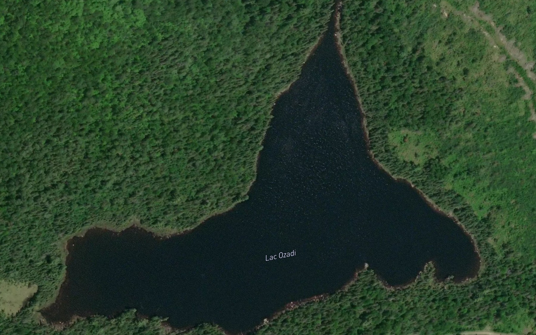 Satellite map of the Lac Ozadi