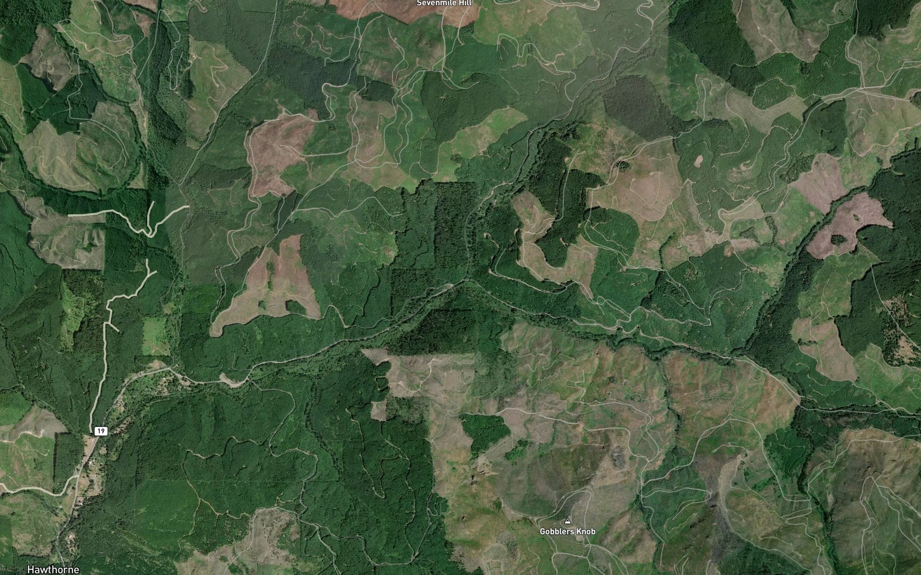 Satellite map of the South Fork Calapooya Creek