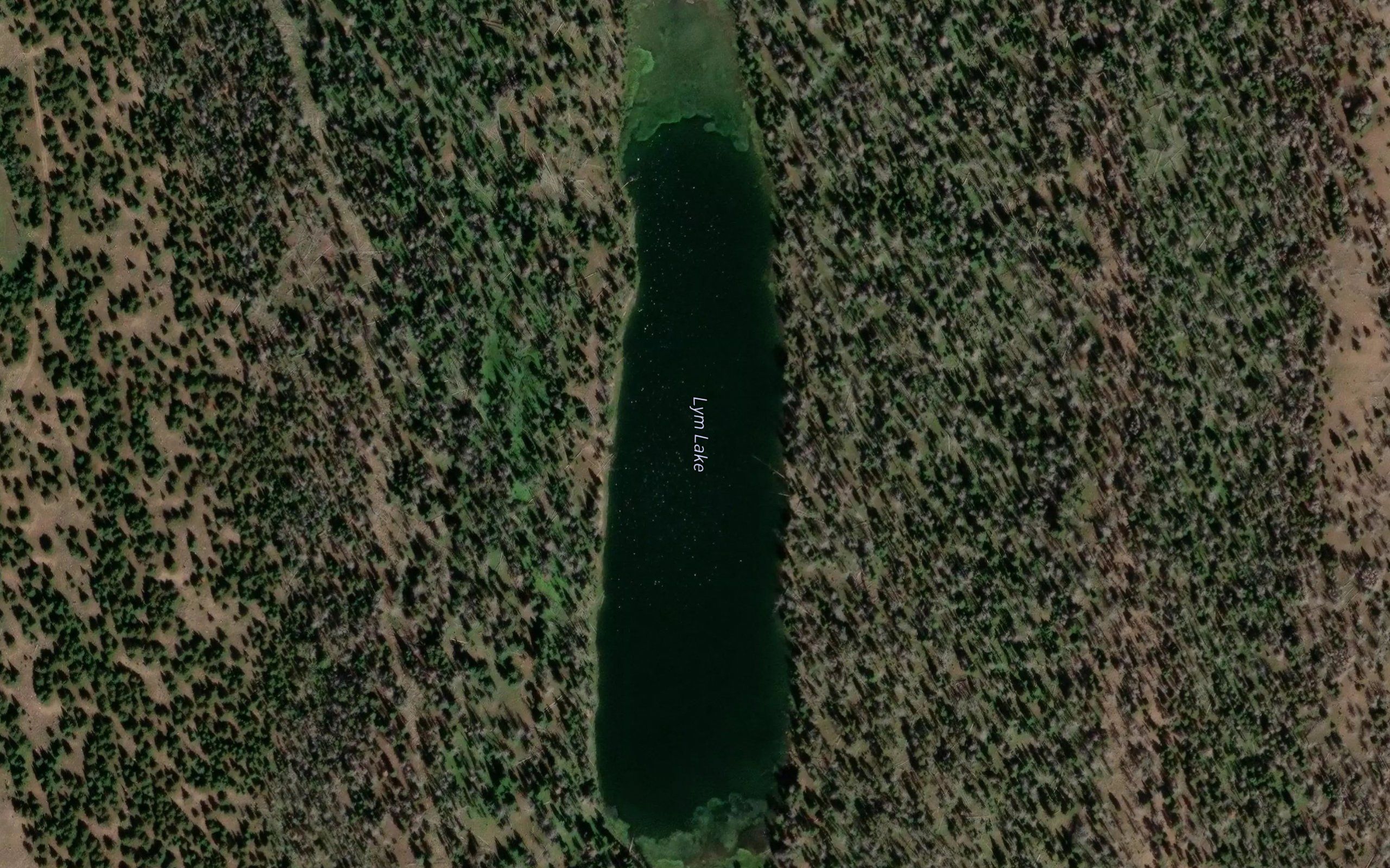 Lym Lake
