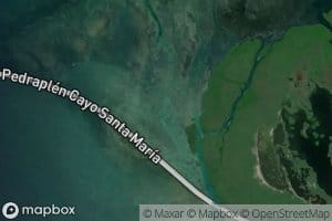 Restinga El Masculino