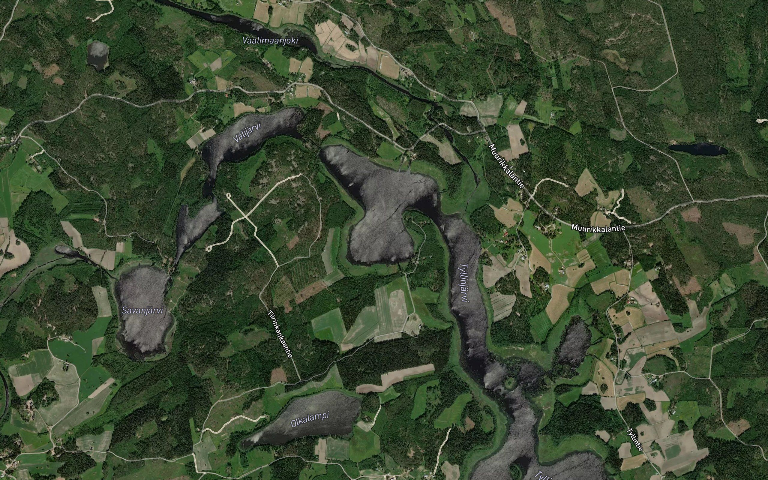 Tiirinpohja