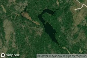 Lac Alligator