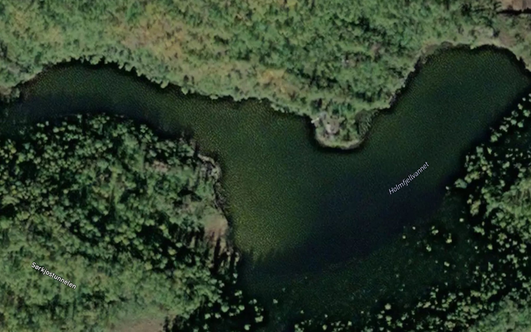 Satellite map of the Holmfjellvannet