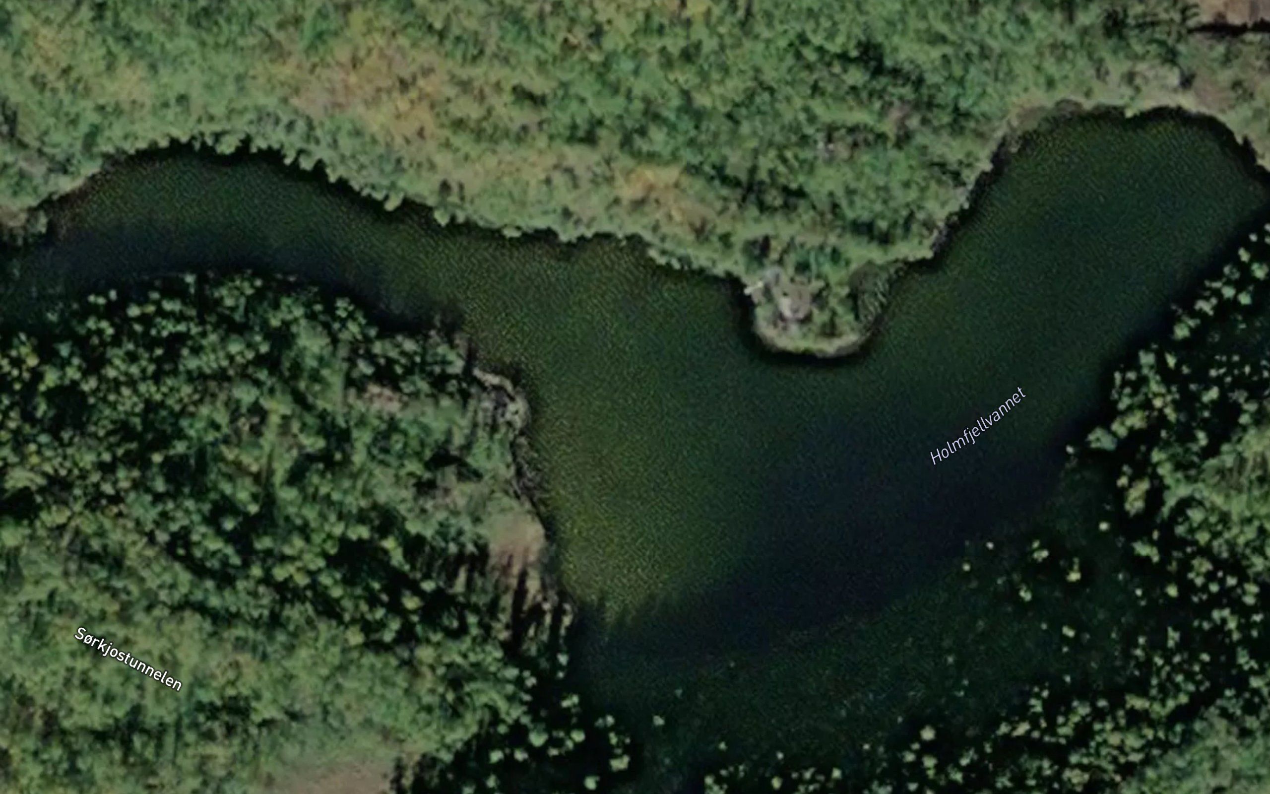 Holmfjellvannet
