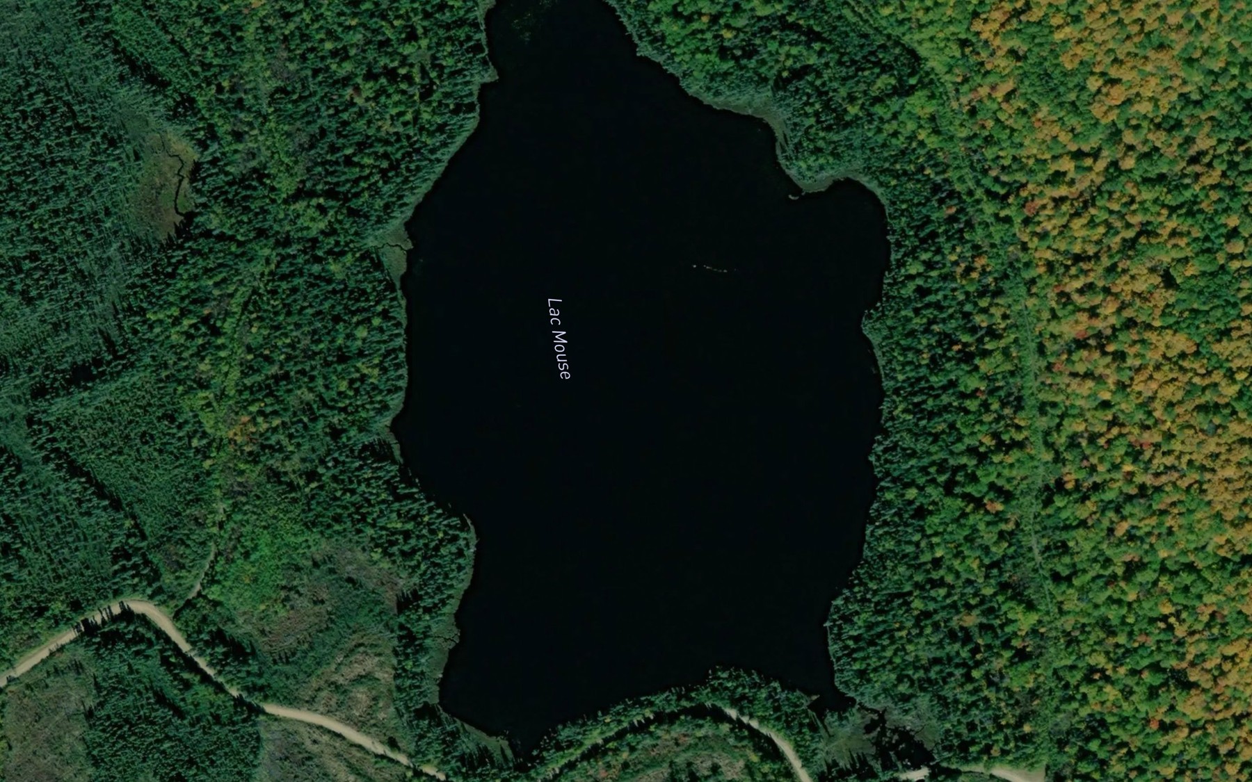 Satellite map of the Lac Mouse