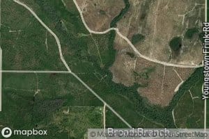 Polliwog Branch