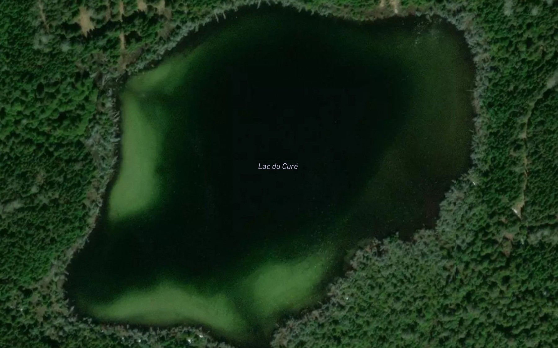 Satellite map of the Lac du Cure