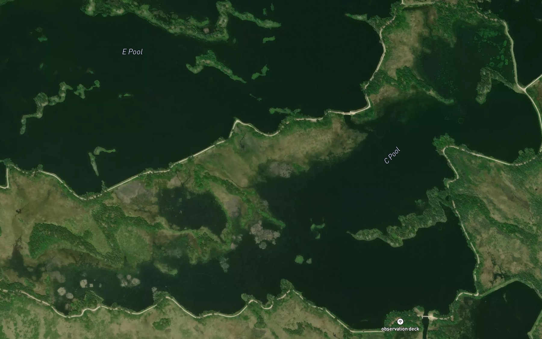 Satellite map of the C Pool