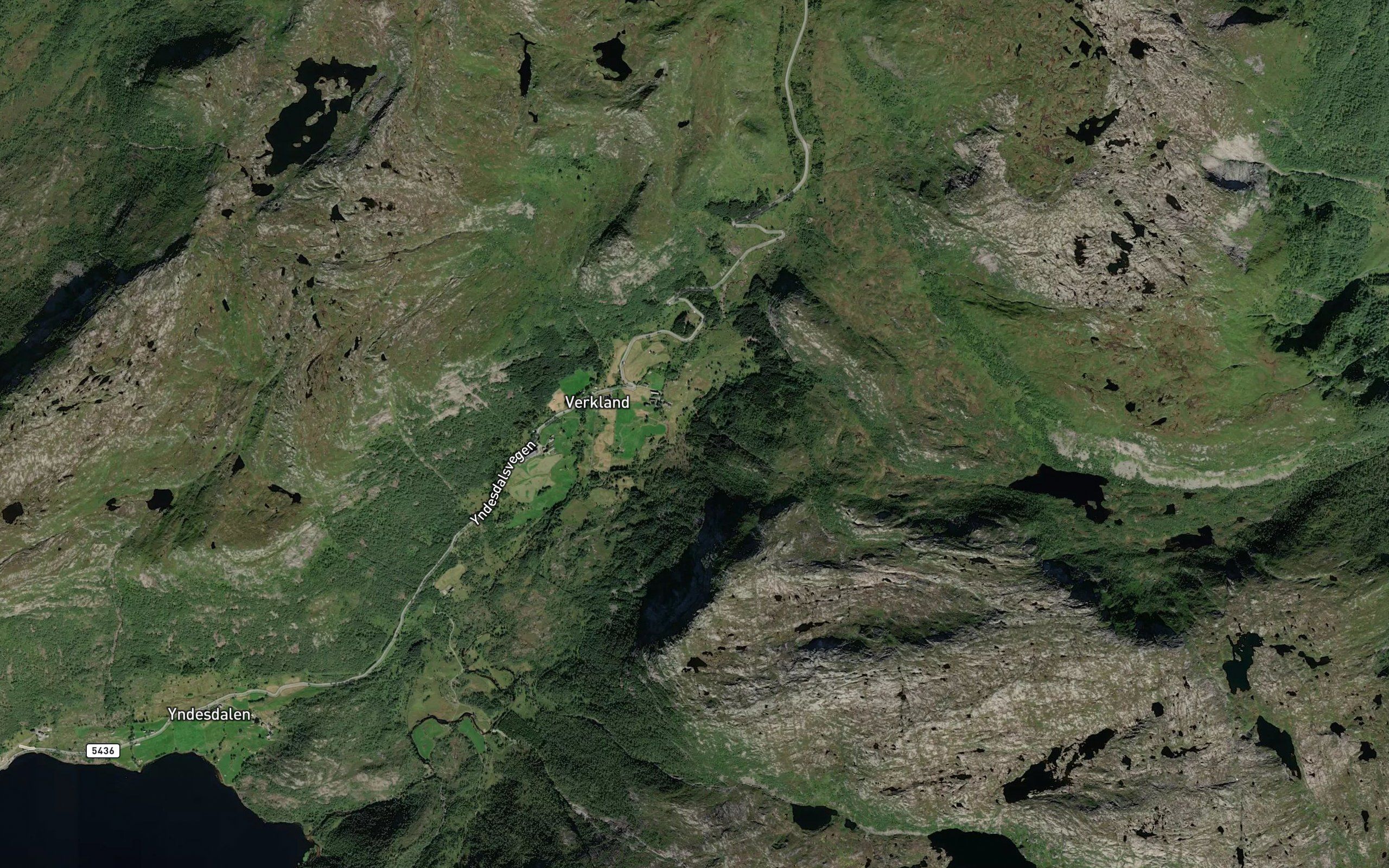 Botnelva