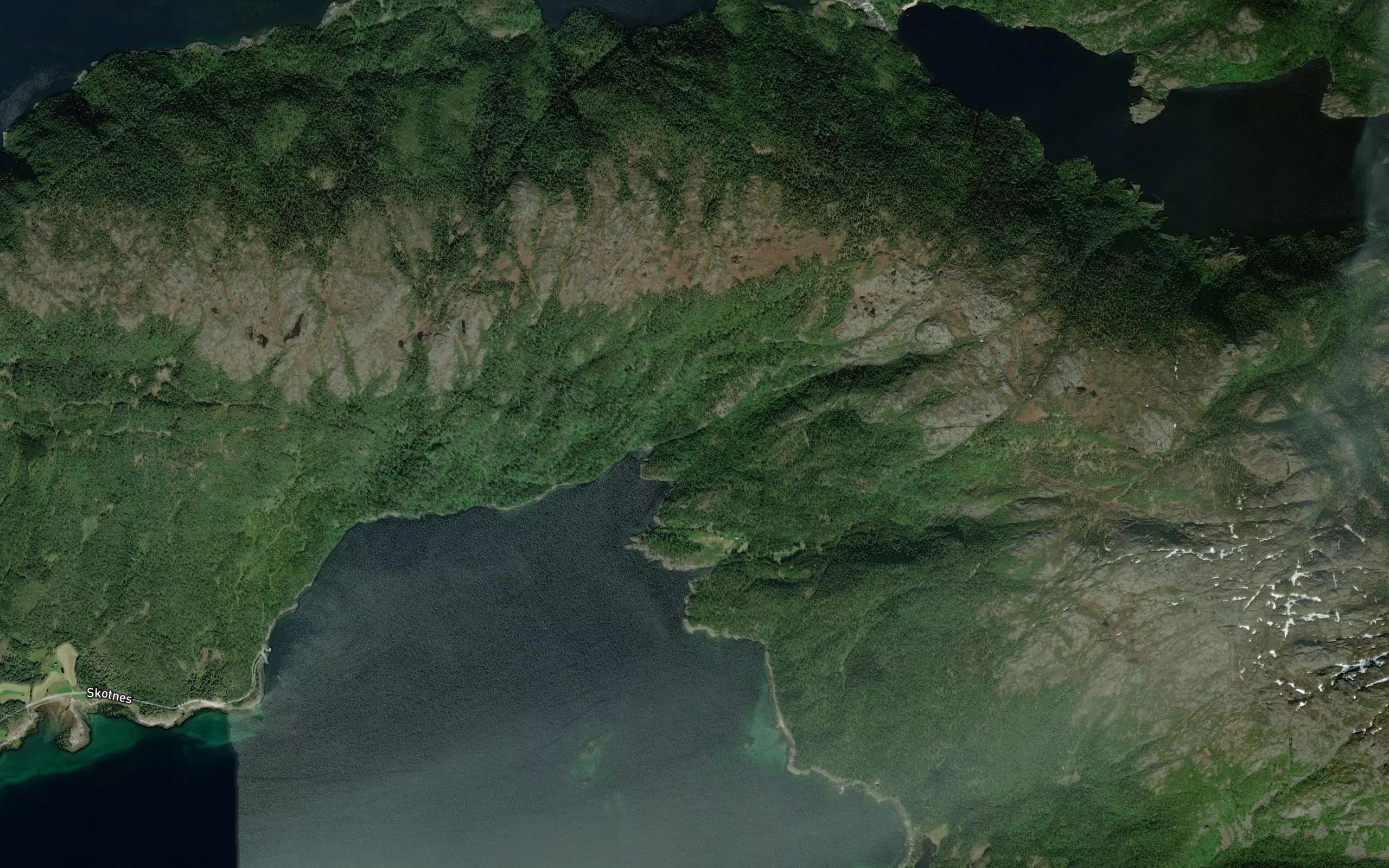 Vikaelva