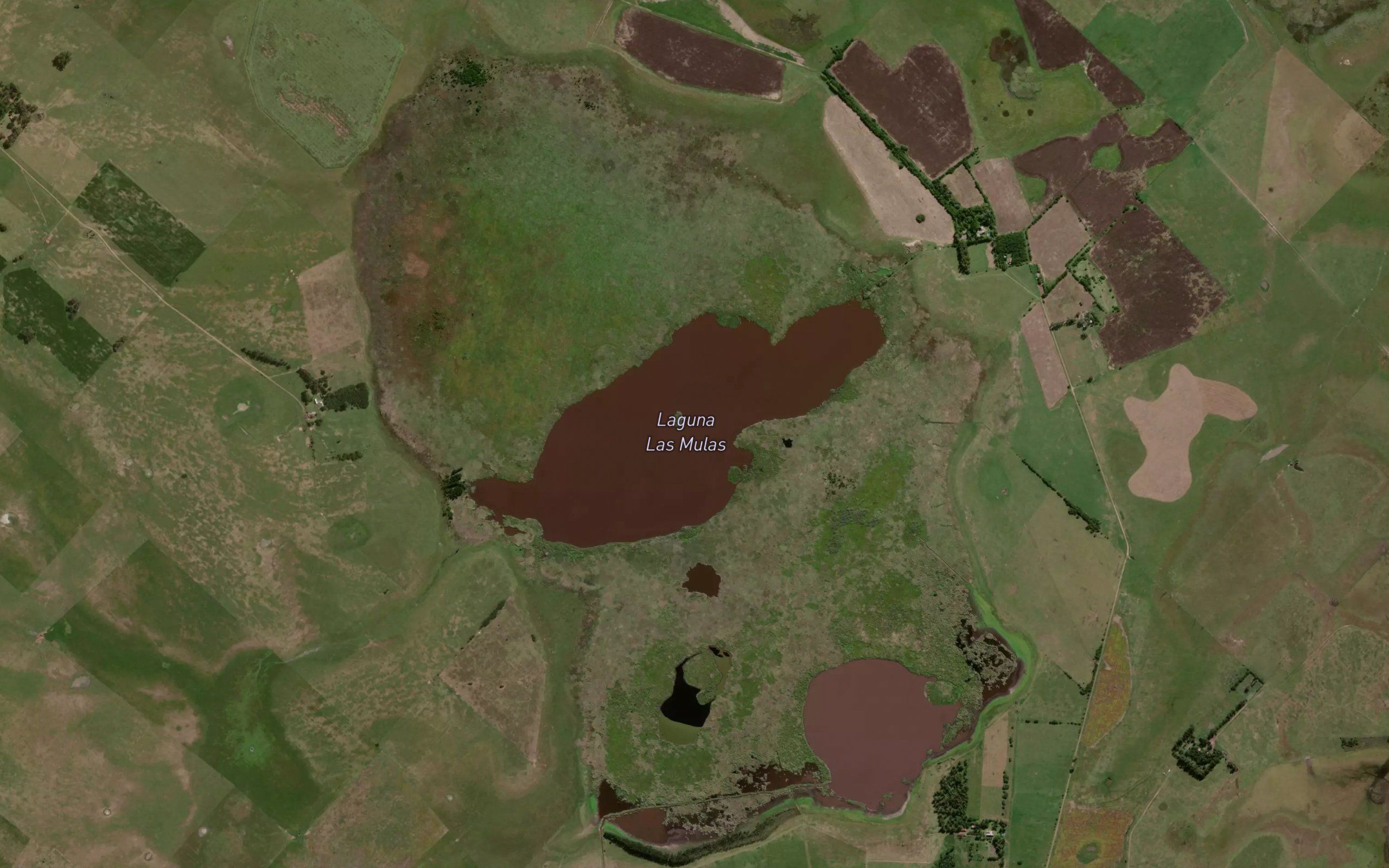 Laguna Las Mulas
