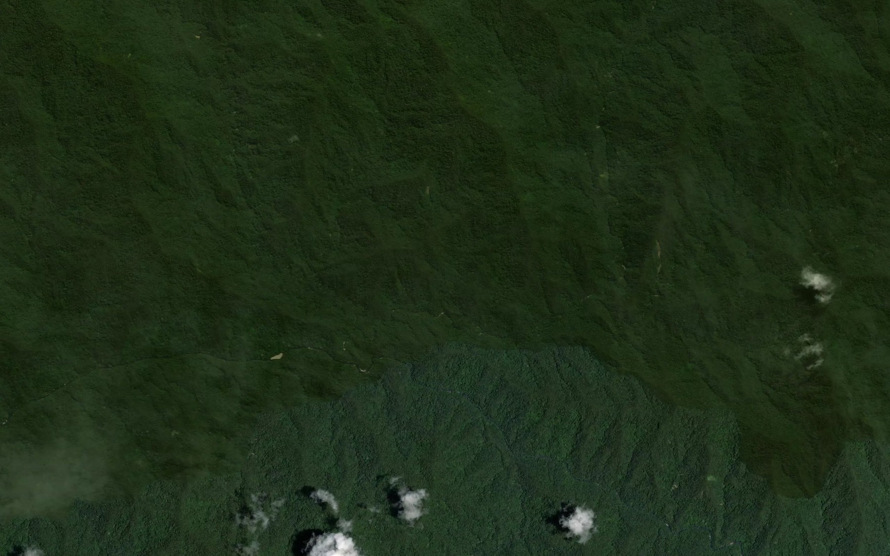 Satellite map of the Sungai Piang