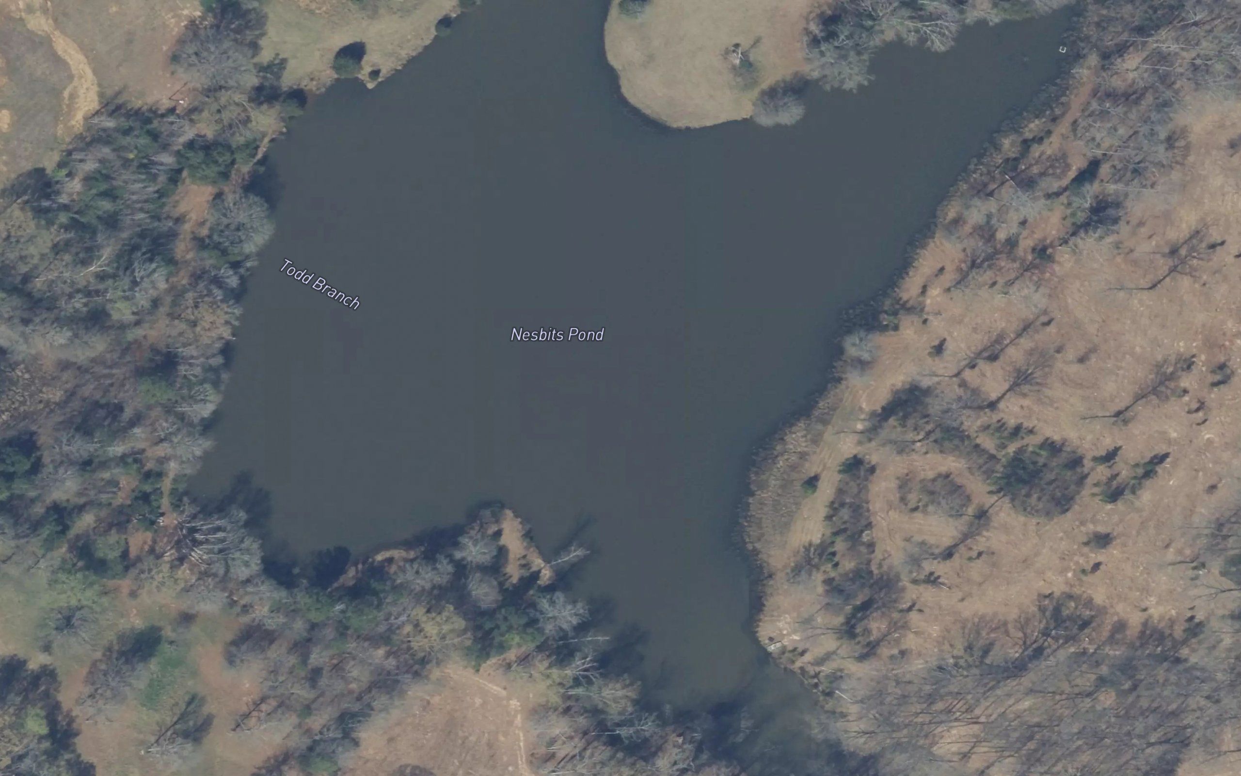 Nesbits Pond