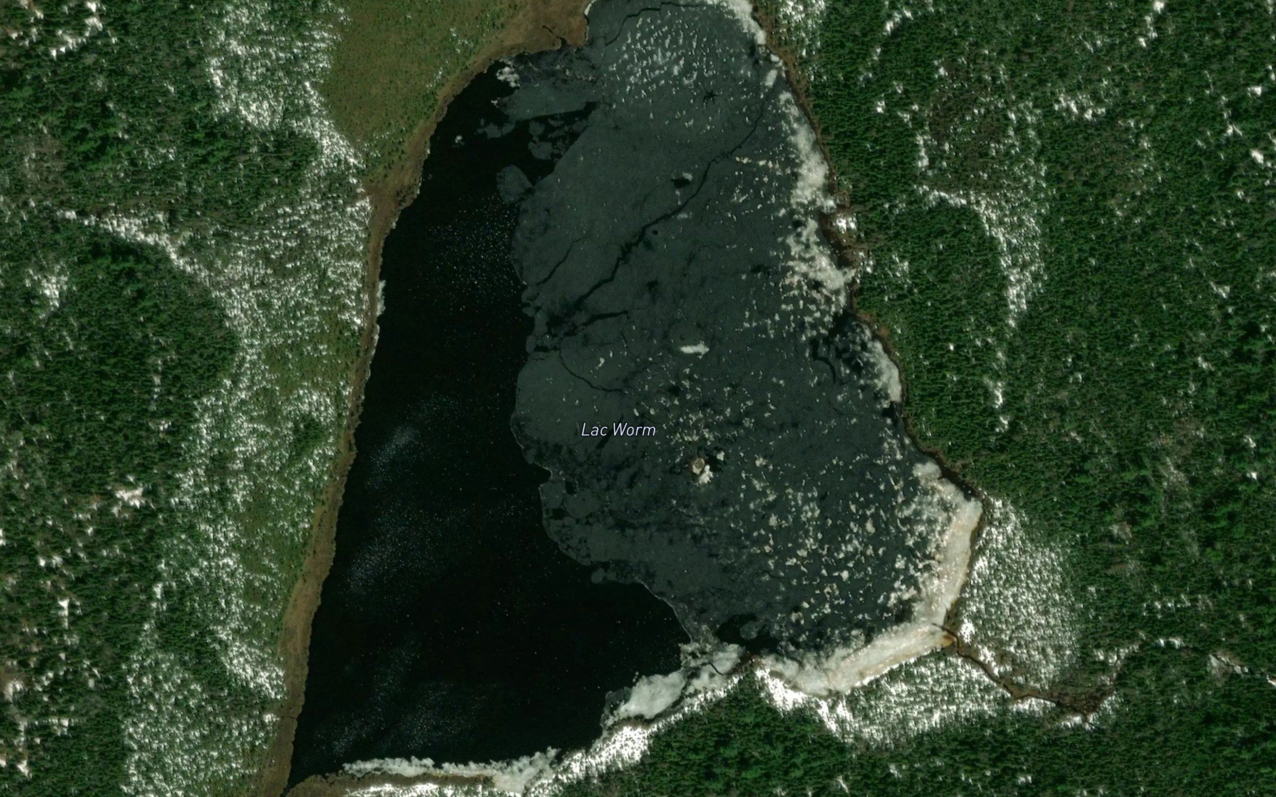 Lac Worm