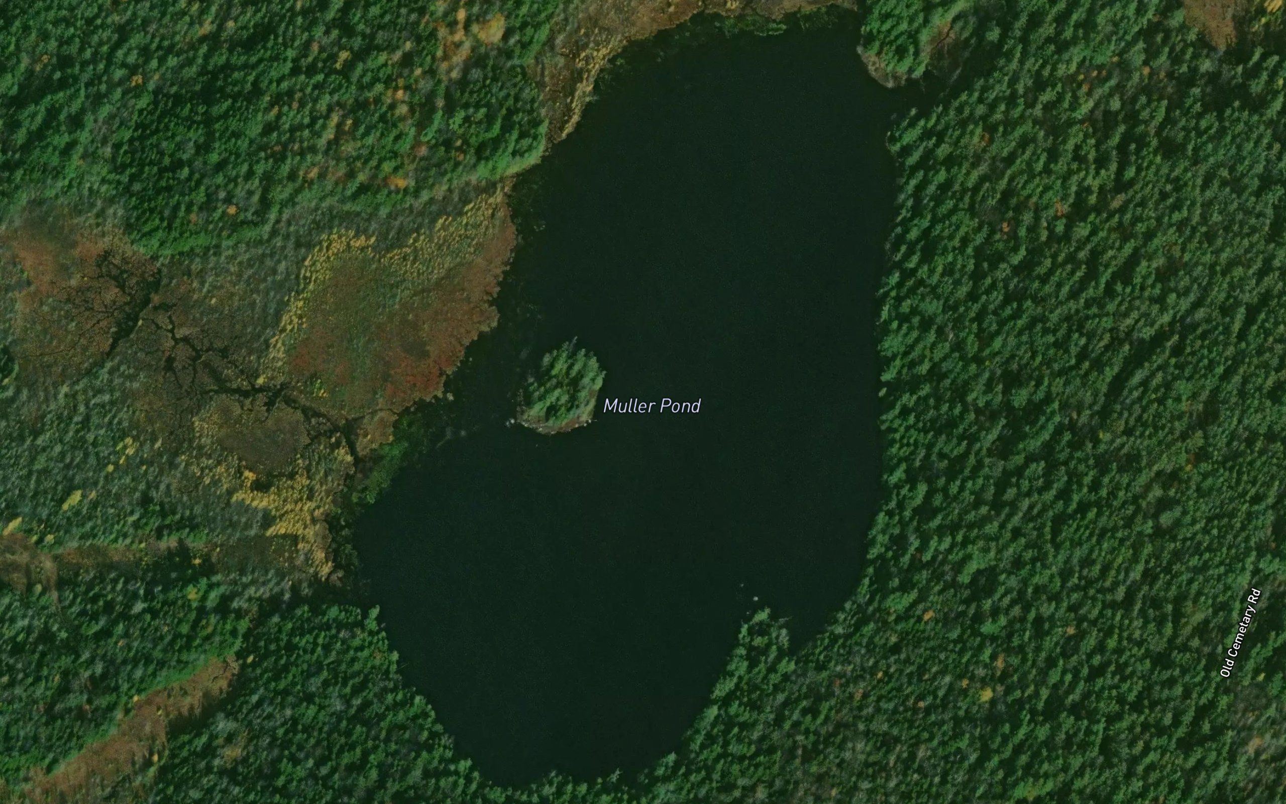 Muller Pond