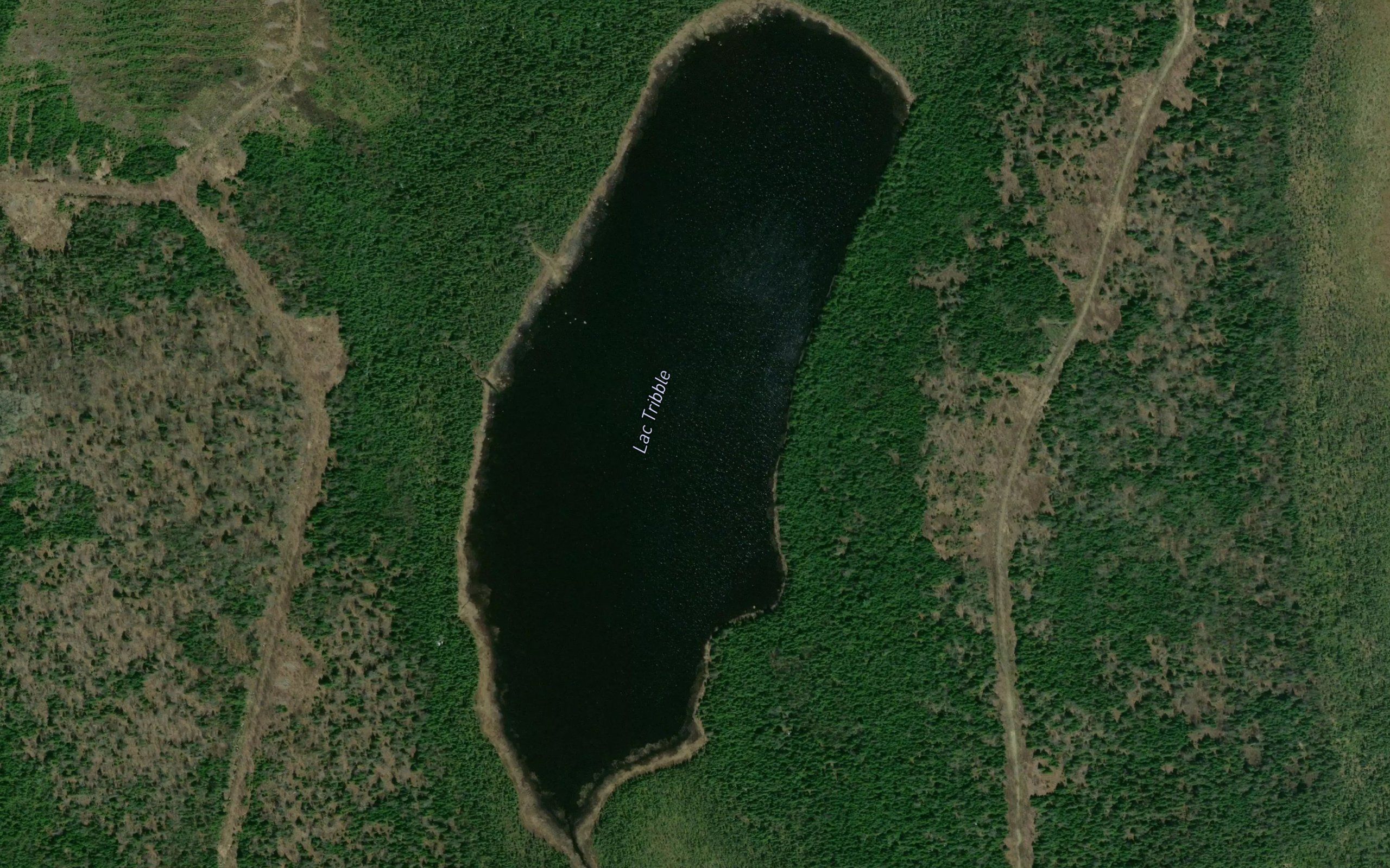 Lac Tribble