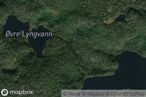 Ovre Lyngvasselva