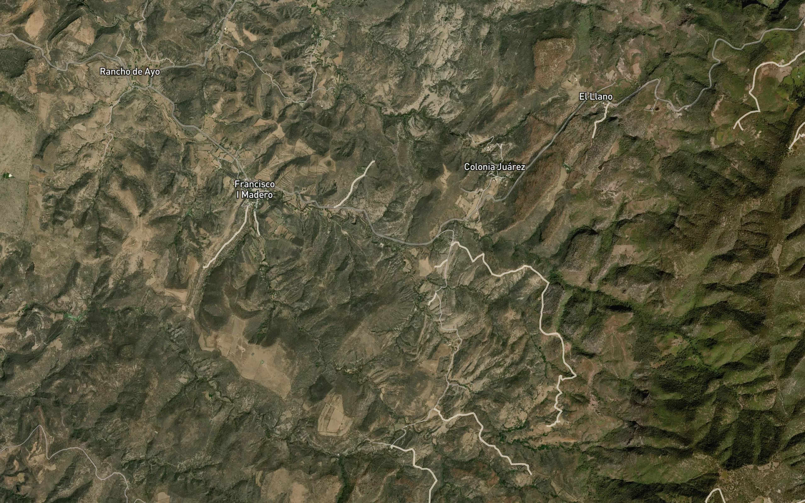 Los Alisos