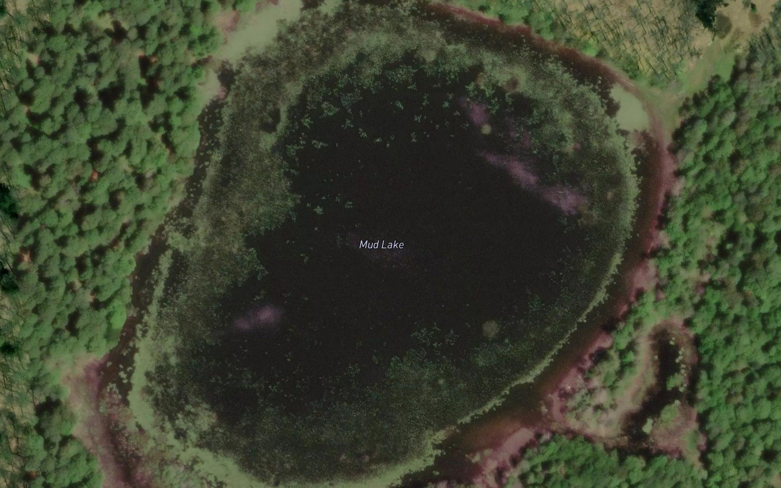Mud Lake