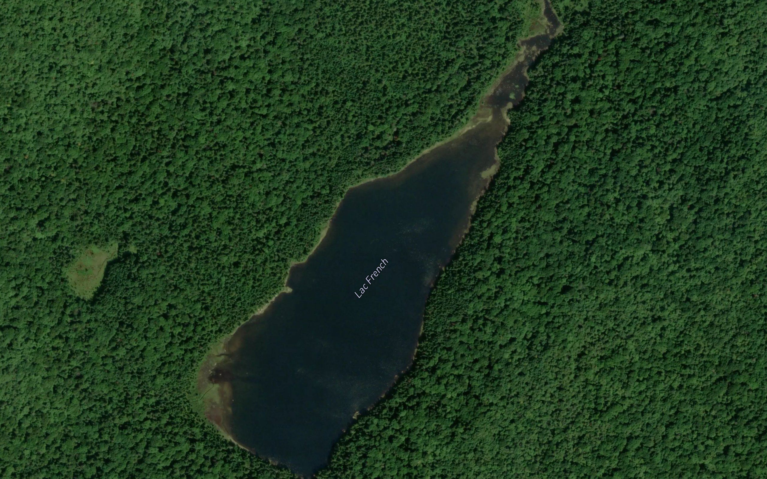 Lac French