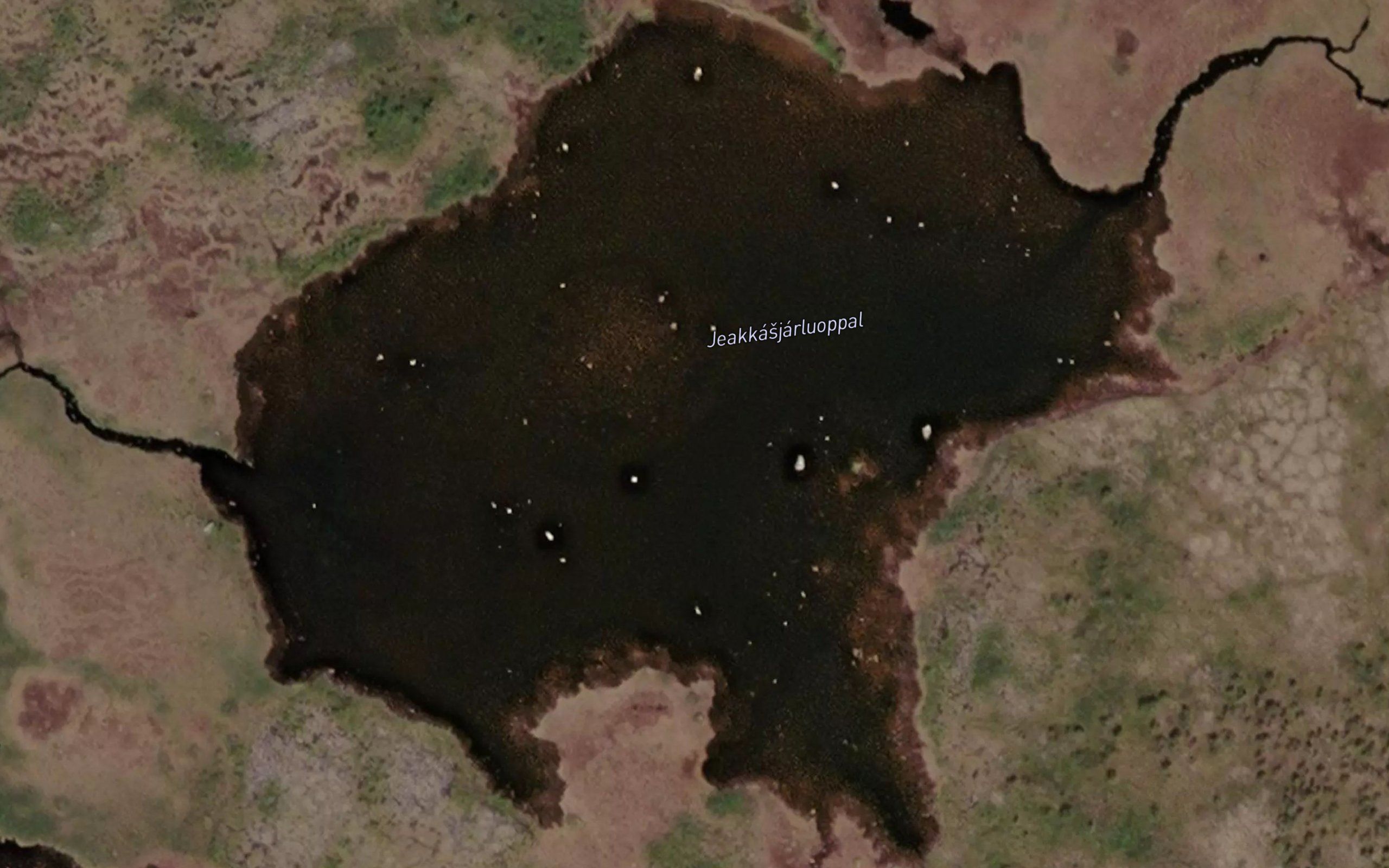 Jaeggasjarluobbal