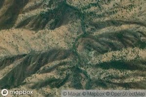 Peanut Creek