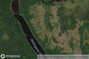 Fish Rapids