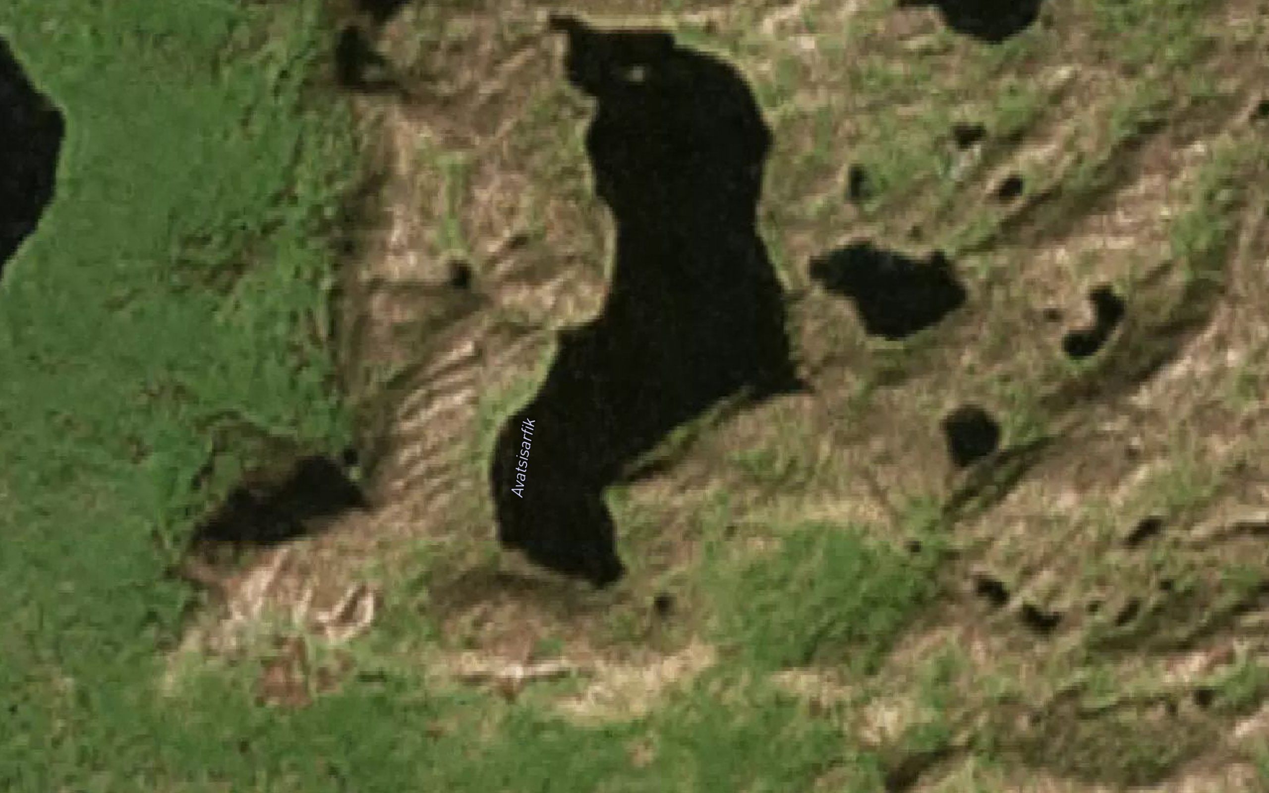 Avatsissarfik