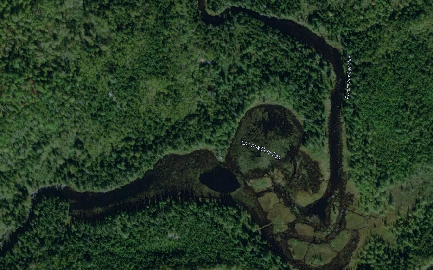 Satellite map of the Lac aux Cenelles