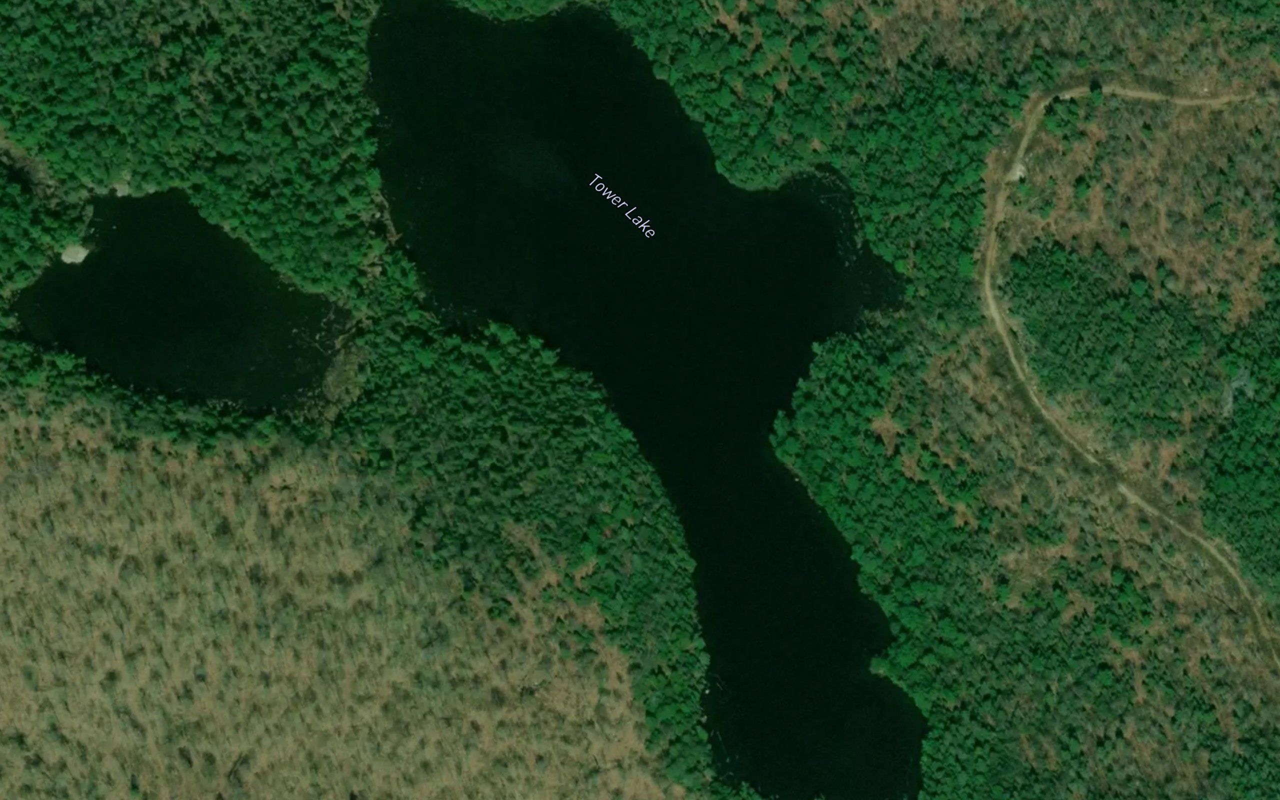 Tower Lake